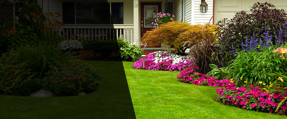 Palacios Landscapers