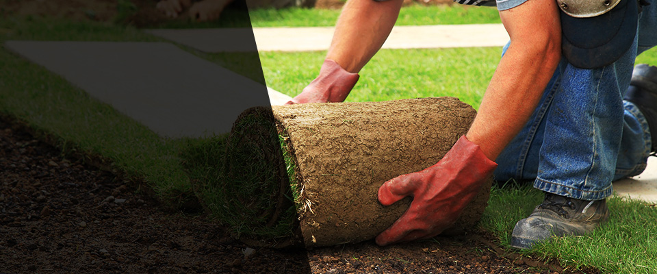 Palacios Landscapers